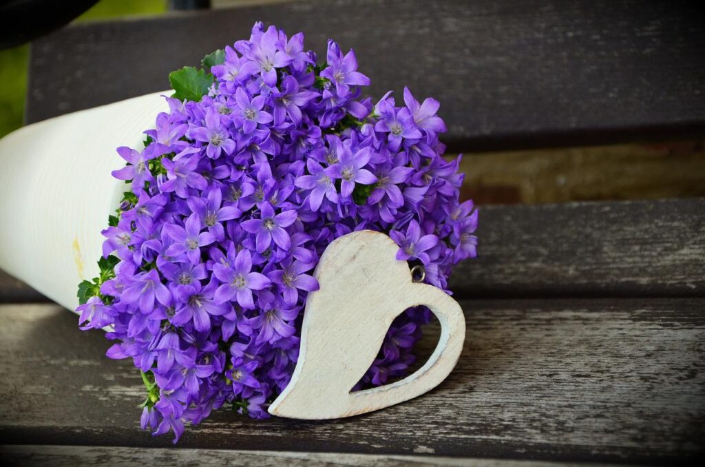 plant pot, purple flowers, mother's day-1372450.jpg